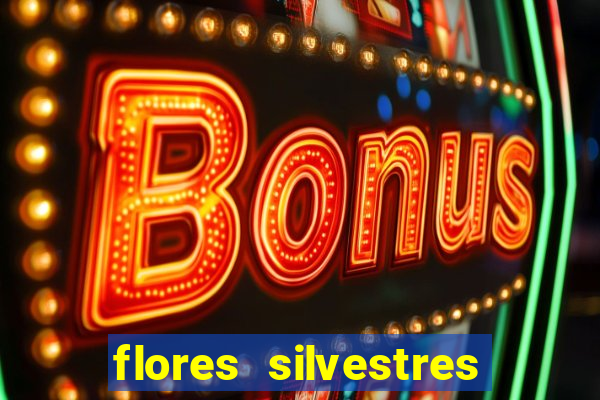 flores silvestres desbravadores desbravadores 25